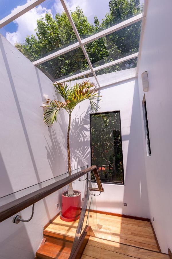 Casa Blanca In Coyoacan Mexico By Eksteriør billede